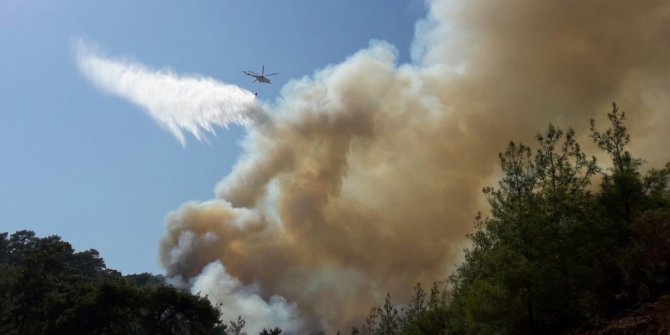 Antalya’da orman yangını (1)