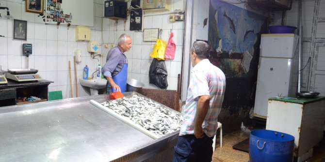 Av yasağı kalktı, balıklar tezgahlarda yerini aldı