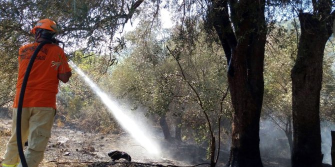 Manavgat’ta orman yangını
