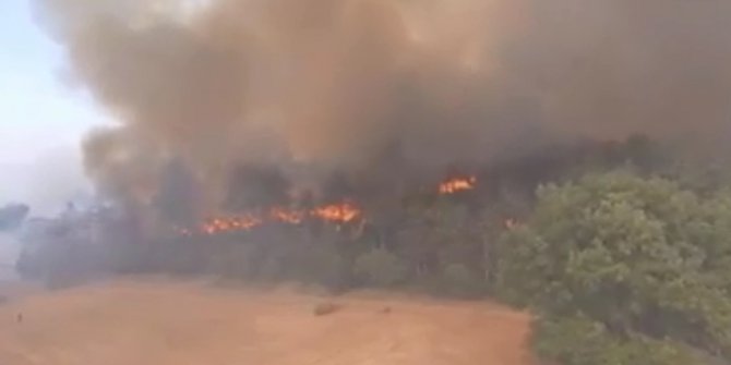 Bolu’daki orman yangını havadan görüntülendi
