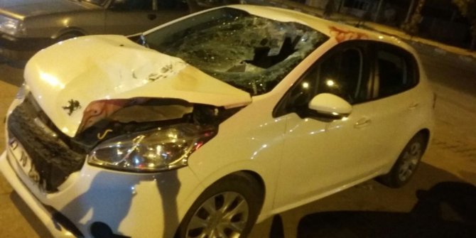 Aracın çarptığı ineğe bakmak için karşıya geçerken canından oldu