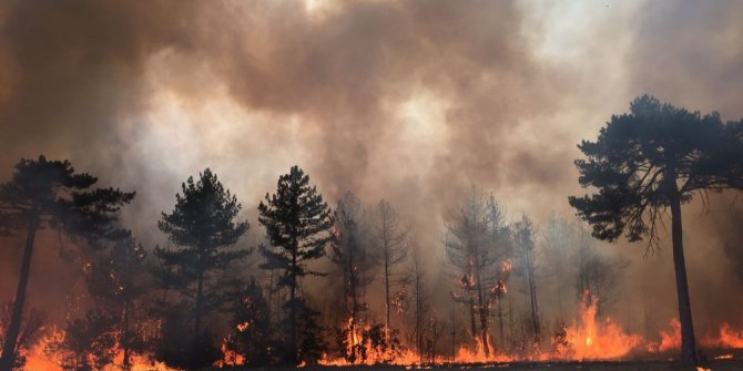 Vali Baruş yangın bölgesinde incelemelerde bulundu