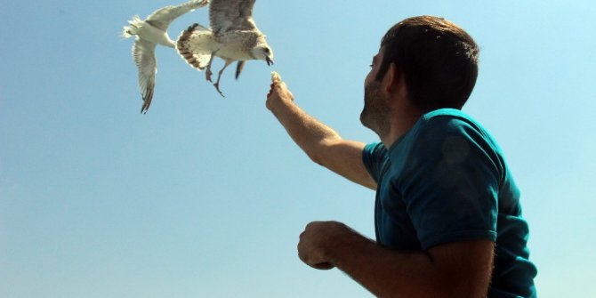 Deniz yolculuğunu aratmayan baraj