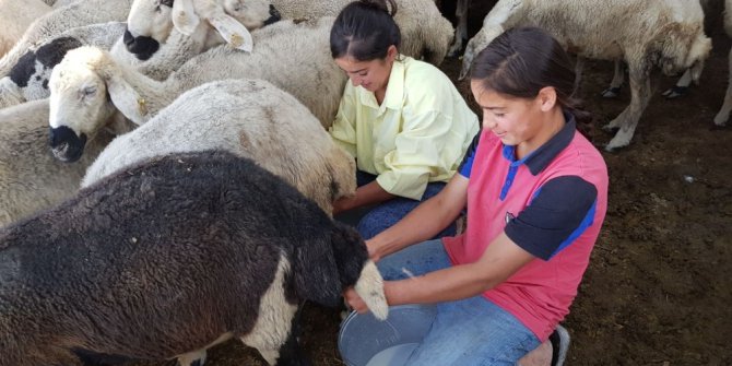 Tatilde dinlenmek yerine çalıştılar