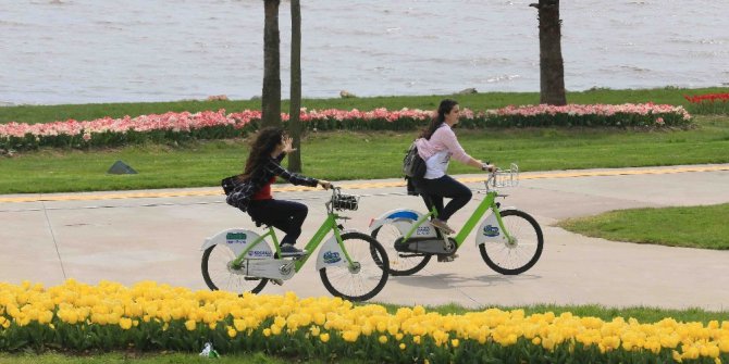 Kocaelililer Kobis’i sevdi