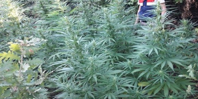 Kocaeli’de uyuşturucu satıcılarına rahat yok