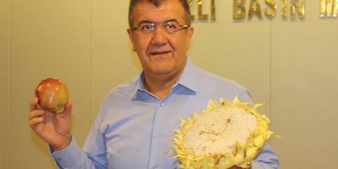 21’inci elma tarım ve kültür festivali Cuma günü başlayacak