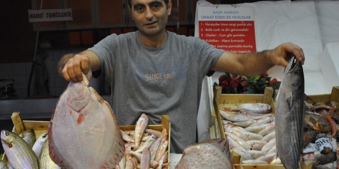 Balık sezonu açıldı tezgahlar canlandı
