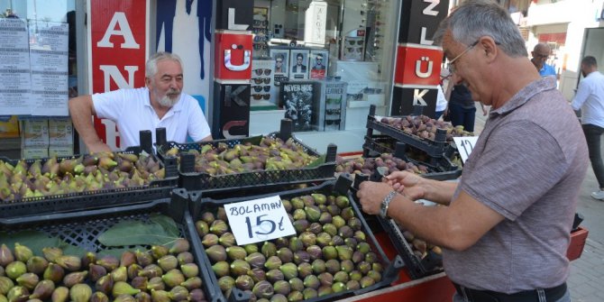 İncir ek geçim kaynağı oldu