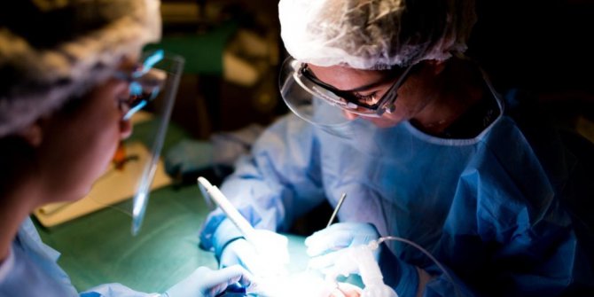 Hasta yakınlarından Kartal Belediyesi Çocuk Ağız ve Diş Sağlığı Merkezi’ne tam not