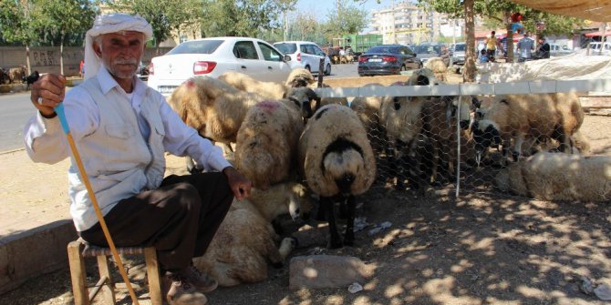 Diyarbakır’da kurbanlıklar elde kaldı