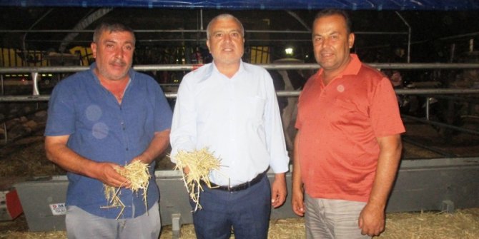 Saman kara borsaya düştü, 9 bin ton ithal ediliyor