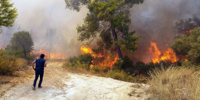 Aydın ve Muğla’nın ciğerleri yandı