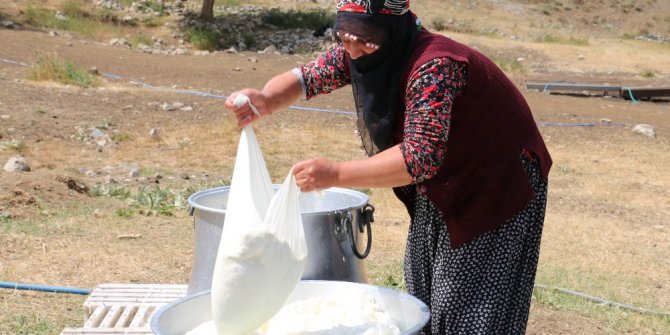 Yayladan Gelen Lezzet: Erzincan Tulum Peyniri