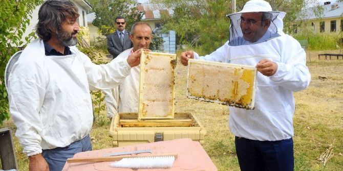 Yyü Kendi Balını Üretti
