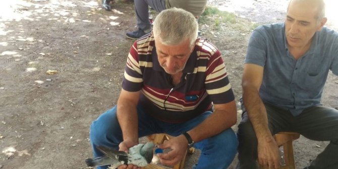 Susuzluk kalan güvercine elinde su içirdi