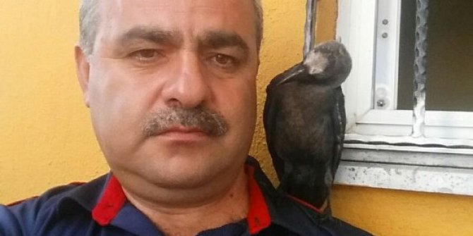 Bu karga vefalı karga