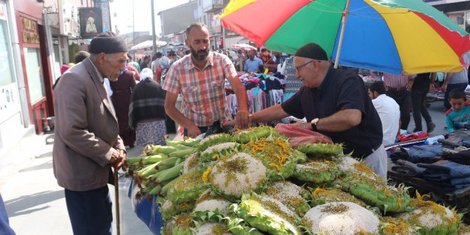 Ağrı’da yerli ayçiçeğine yoğun ilgi