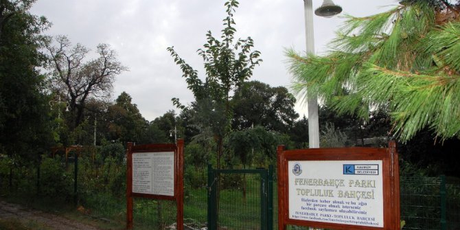 Kadıköy’deki okullarda hasat zamanı