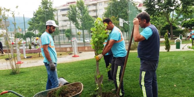 Yıldırım parklarını mevsimlik çiçekler süslüyor