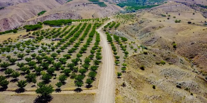 Büyükşehir Belediyesi yol çalışmalarına devam ediyor
