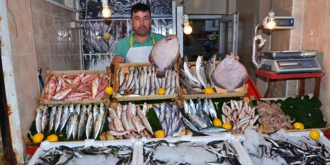 Balıkesir’de ilk balıklar tezgahta