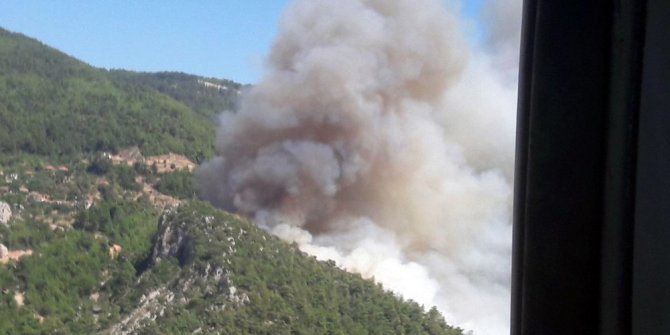 Muğla’da orman yangını