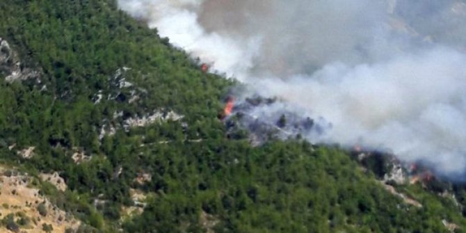 Alevlerin yaklaştığı Zeytinköy tahliye ediliyor