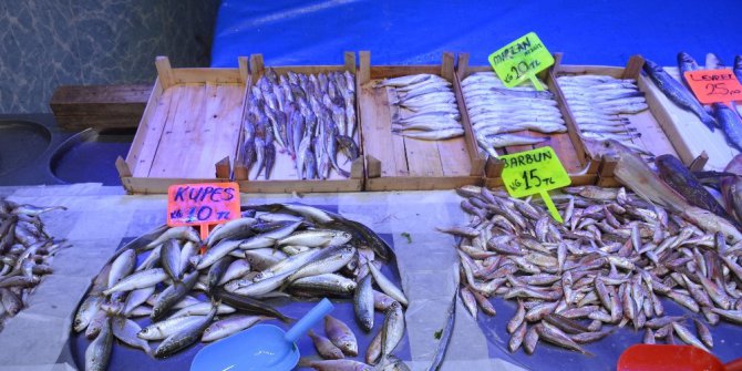 Bilecik balık sezonunun ilk günlerinde fiyatlar el yaktı