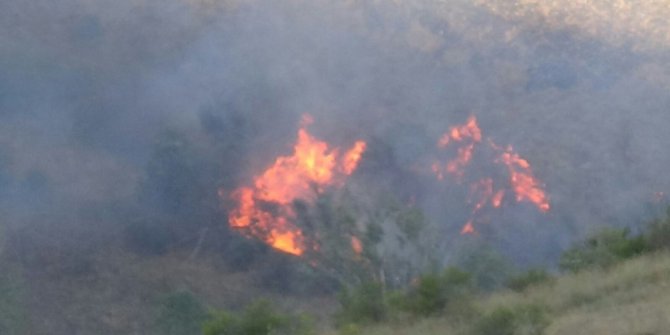 Arazide çıkan yangın ormana sıçradı
