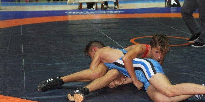 Muş’ta 7. Yıldız Erkekler Serbest Güreş Şampiyonası