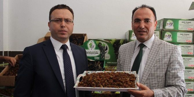 Gölbaşı İlçesi Peygamber Üzümü Yetiştiriciliğinde Türkiye Birincisi