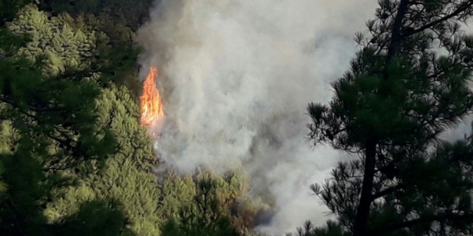 Muğla’daki yangın devam ediyor