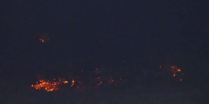 Didim’de maki yangını