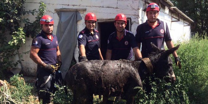 Foseptik çukuruna düşen eşeği itfaiye kurtardı