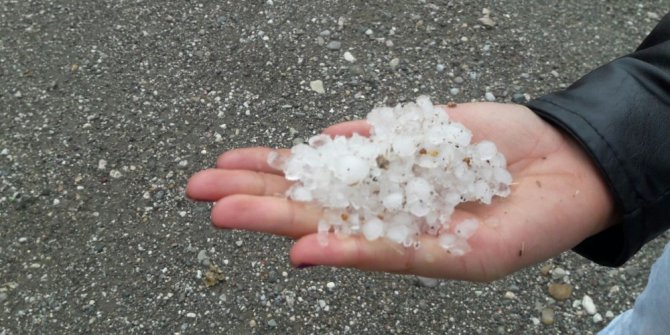 Dolu üzüm bağlarını vurdu