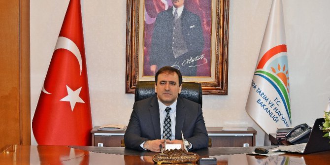 Veliefendi’ye kadın seyis yetiştirilecek