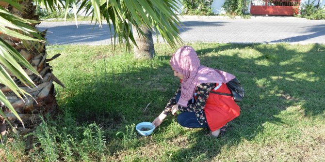 Öğrenciler sokak hayvanları için su kabı bıraktı