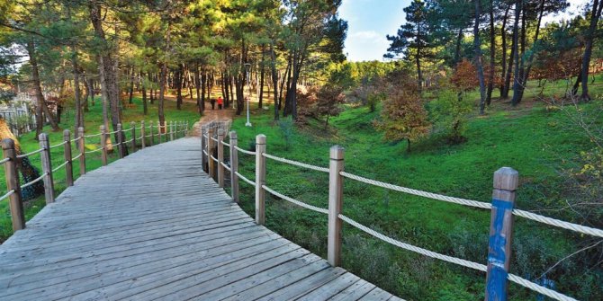 Vatandaşlar Ümraniye Mesire Alanı’na yoğun ilgi gösteriyor