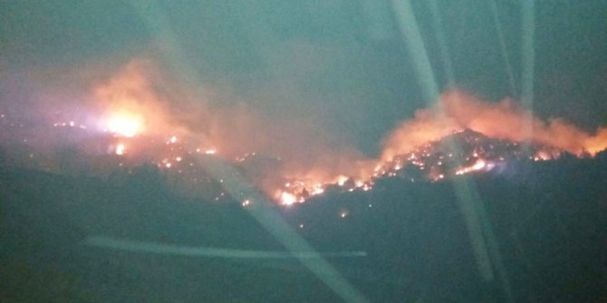 Erzurum’da ormanda çıkan yangın güçlükle kontrol altına alındı