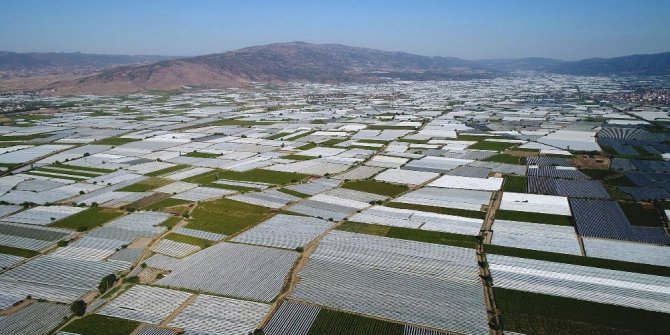 Sarı altın beyaz gelinlik giydi