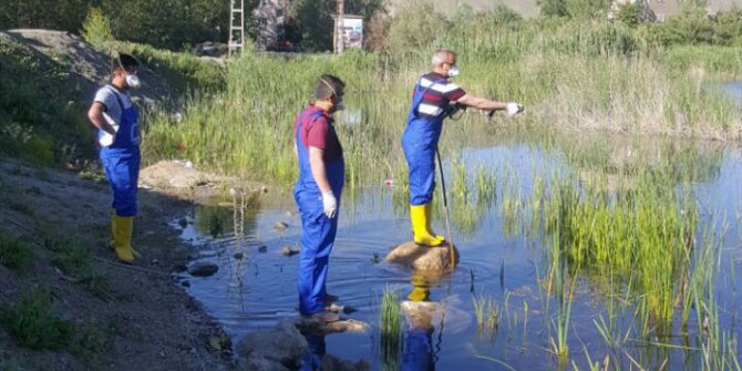 Hakkari Belediyesinden sivrisinekle mücadele