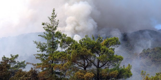 Antalya’daki yangını söndürme çalışmaları devam ediyor
