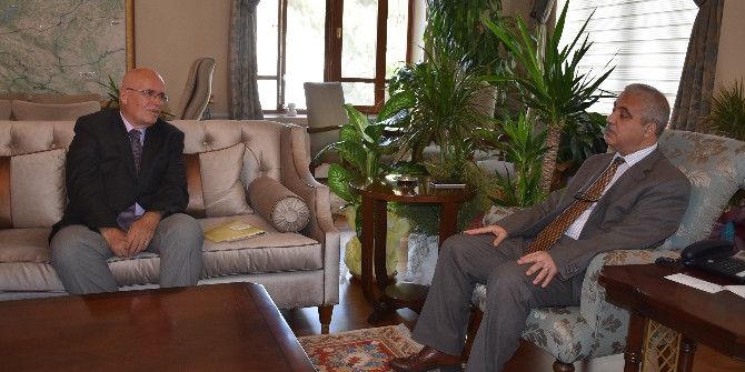 Gema Vakfı ‘Ağaç Müzesi’ Kurmak İstiyor