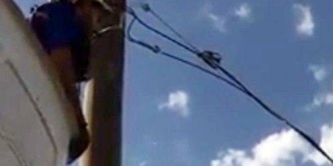Elektrik direğinde sıkışan ebabil kuşu kurtarıldı