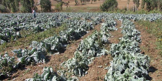 Şiddetli rüzgar prefabrik evi uçurdu