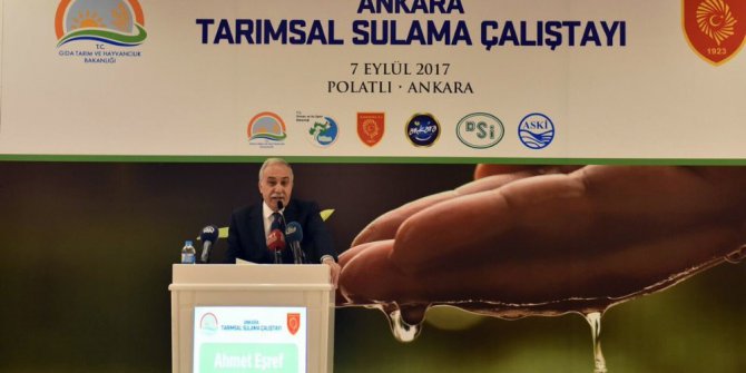 Bakan Fakıbaba: "Ülkemizde fipronilli yumurta tespit edilmemiştir"