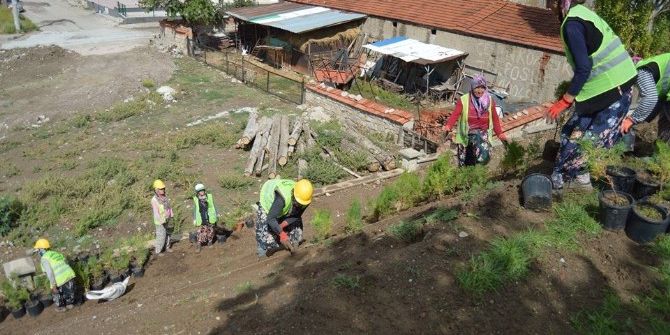 Otogara 10 Bin Süs Bitkisi