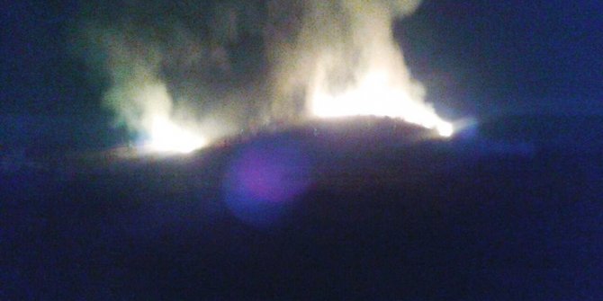 Kozan’da orman yangını