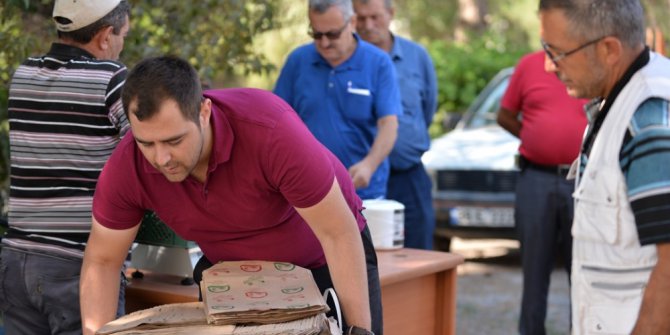 Organik Gıdalar Sağlıklı Ambalajda